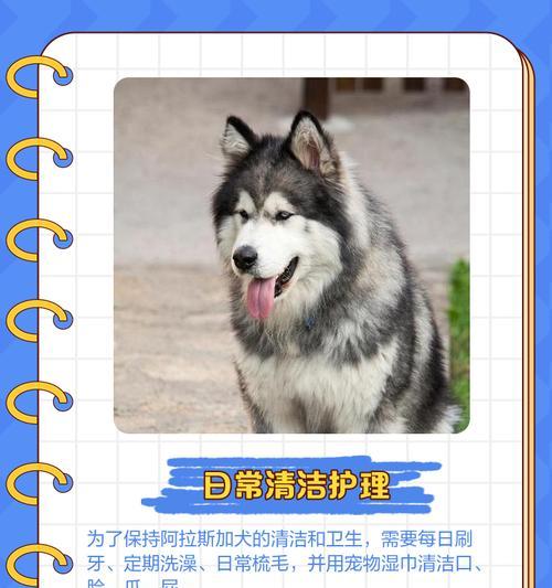 阿拉斯加的多季节生产（探索阿拉斯加多样化的农业和资源产业）