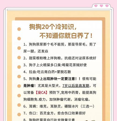 如何应对狗狗误食药品的情况（保护狗狗健康，预防药品误食）
