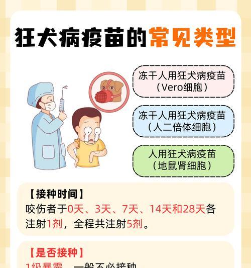 狗狗打狂犬疫苗的时间和重要性（保护狗狗健康的关键措施及注意事项）
