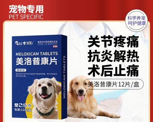 狗狗绝育后需要多长时间康复？（了解狗狗绝育手术的康复期以及注意事项）