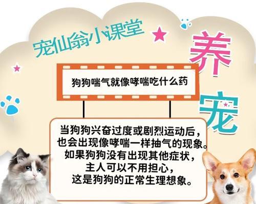 小狗哮喘的治疗效果及关键因素（探索小狗哮喘治疗的有效方法和关键因素）