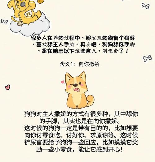 贵宾犬舔人身上的意思（探寻贵宾犬舔人行为的含义与目的）