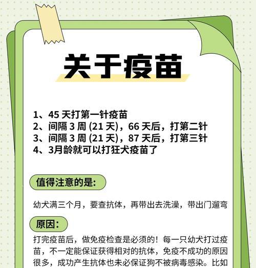 细小狗狗接种疫苗的时间表（确保宠物健康的必要措施）