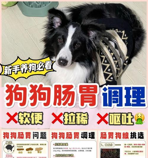 狗狗拉肚子的治疗时间及有效方法（解决狗狗腹泻的快速有效方法）