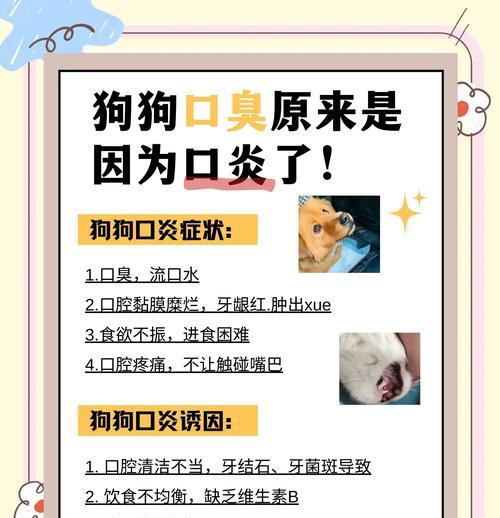 如何解决狗狗口臭问题（简单有效的方法，告别狗狗口臭）