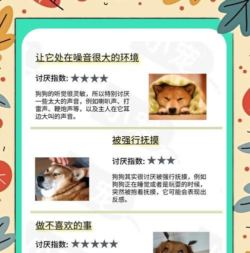 揭秘（狗狗喜欢独自享受的时刻，它们在干什么？）