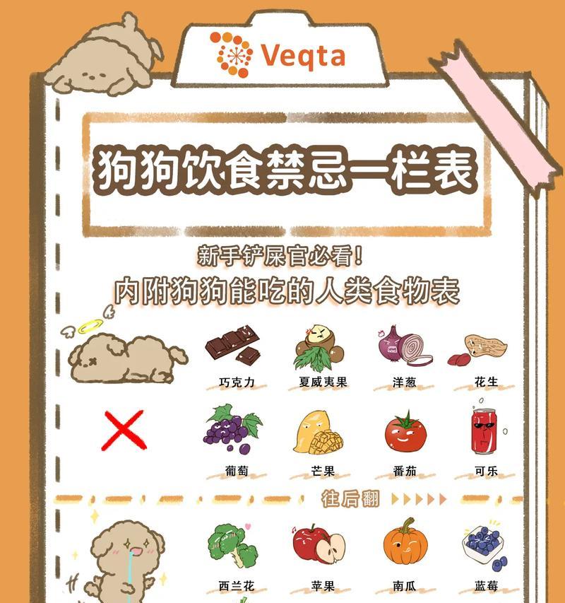 狗狗禁区——不能进入的场所（保护狗狗与他人的安全与健康）