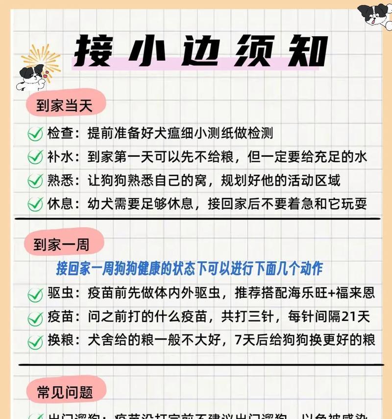 养边境牧羊犬的费用分析（边境牧羊犬的饲养成本及经济投入）