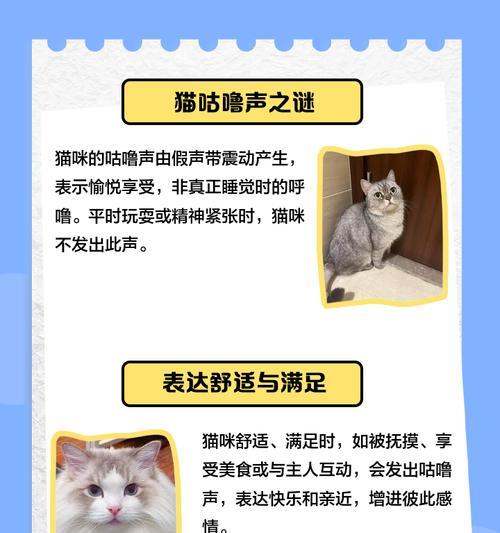 猫咪咕噜声的8个含义（探秘猫咪咕噜声背后的语言密码）