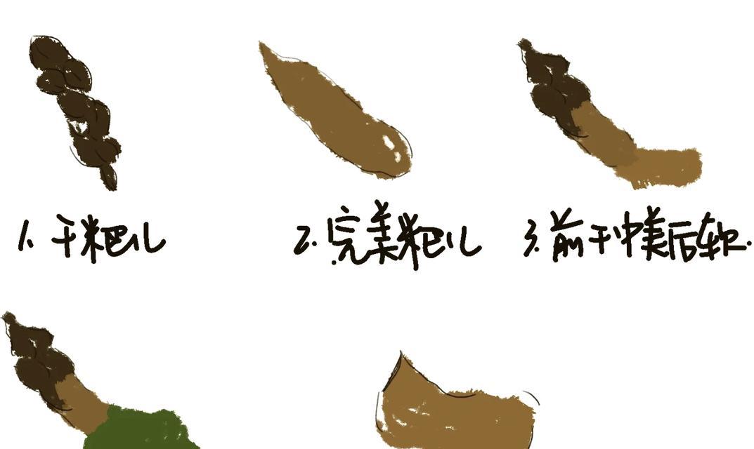 狗狗喂食后多久会排便？（了解你的宠物的排便习惯）