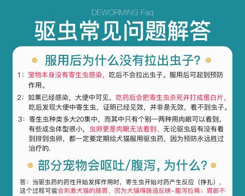 狗狗打虫药的使用频率与注意事项（保护宠物健康的关键——正确使用打虫药）