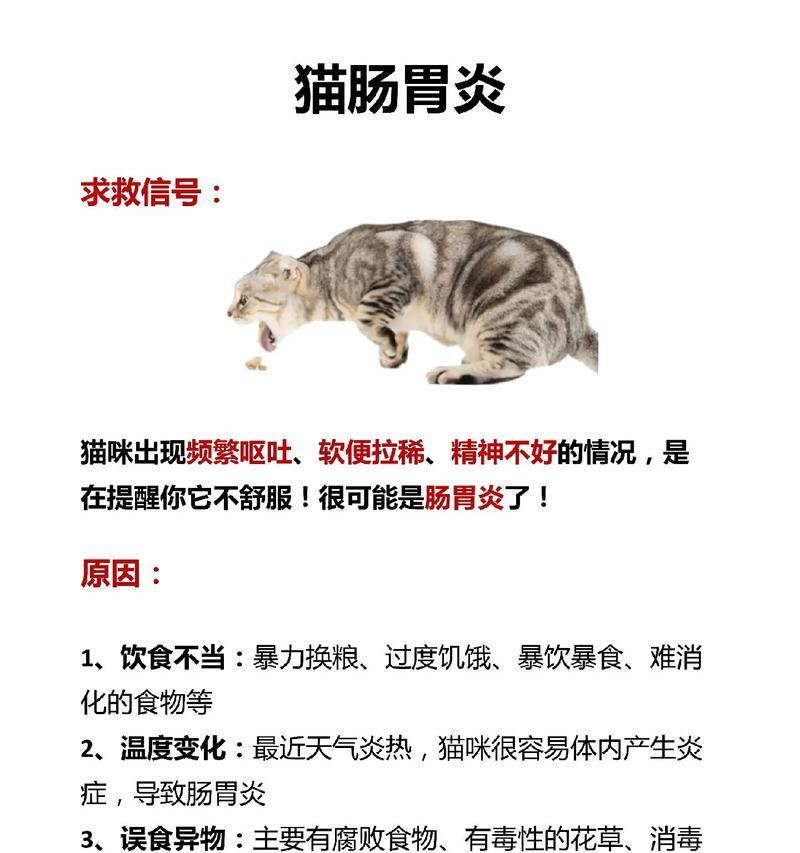 猫拉肚子的持续时间及原因分析（多久会好？如何应对猫咪腹泻？）