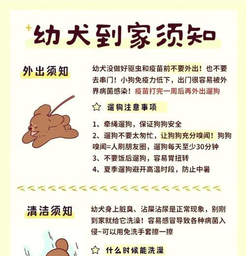 小狗出生后的洗澡和疫苗接种时间表（了解小狗出生后的基本护理，为它们的健康提供最佳保护）
