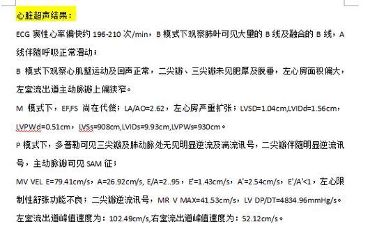 小狗肺水肿的治疗与吸氧时间（了解小狗肺水肿的治疗方法与关键因素）