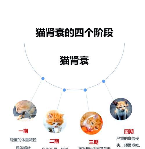 猫多囊肾（探索猫多囊肾病的治疗方法及生存期）