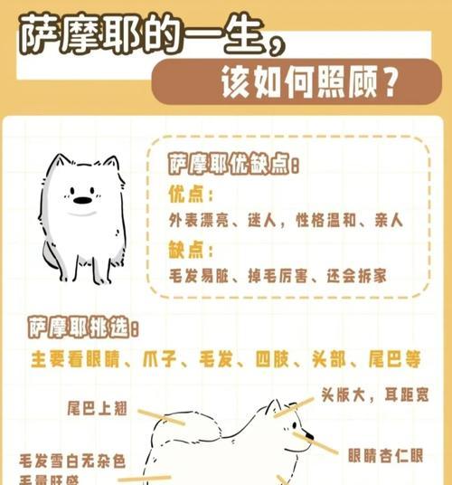 银狐犬与萨摩耶（探究银狐犬和萨摩耶的差异及特点）
