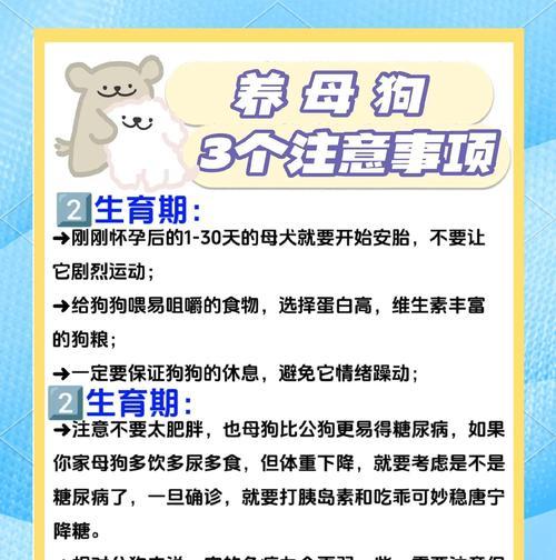 母狗生完后的饮食注意事项（科学合理的饮食调整，助力母狗恢复健康）