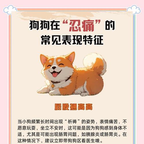 盘点狗狗患上这8种疾病，主人应该需要隔离它（保护狗狗健康，预防传染病传播）