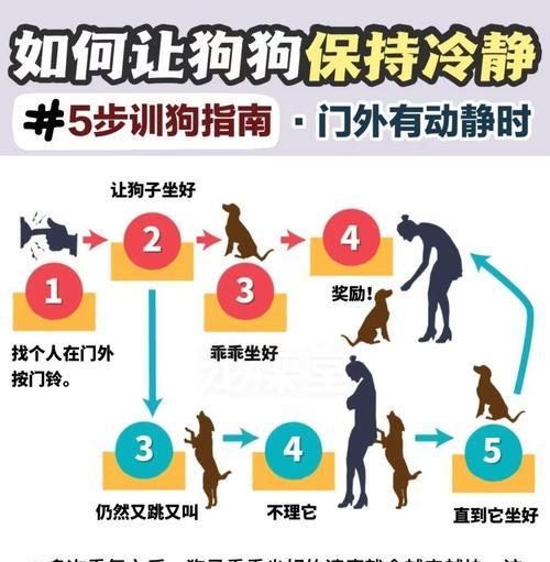 训练一只狗需要多长时间？（探索狗的训练时间和技巧）