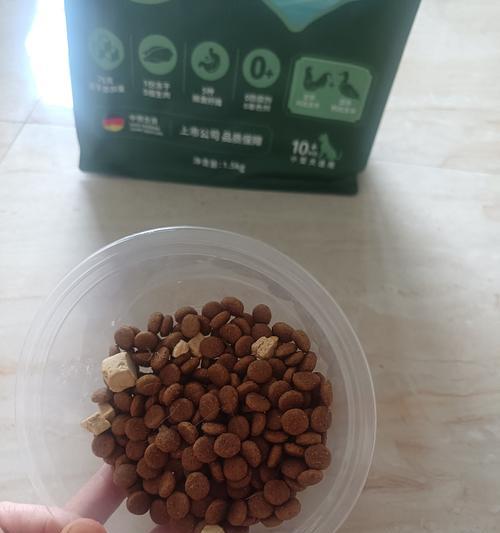 小泰迪狗狗何时开始吃狗粮？（了解小泰迪狗狗适合吃狗粮的时间和注意事项）