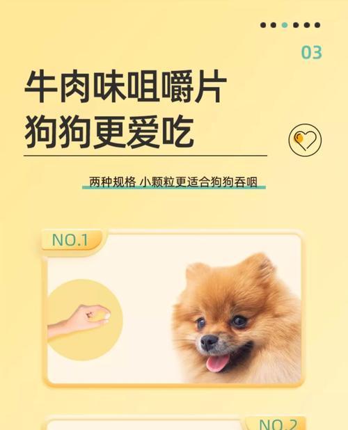 泰迪狗打虫药的正确使用方法（为您的泰迪宠物提供健康的生活）