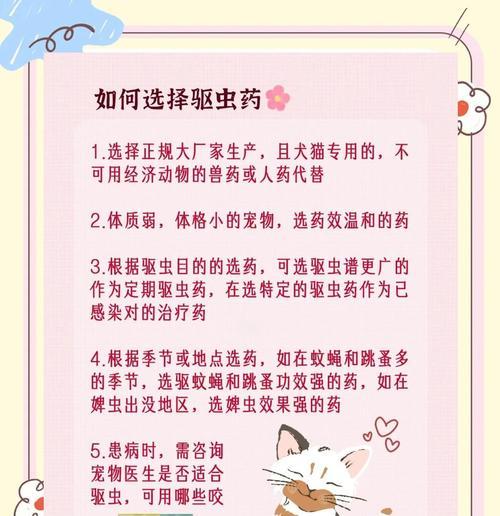 小狗驱虫药吃多久才有效？（了解小狗驱虫药的使用周期，让你的宠物远离寄生虫的困扰）