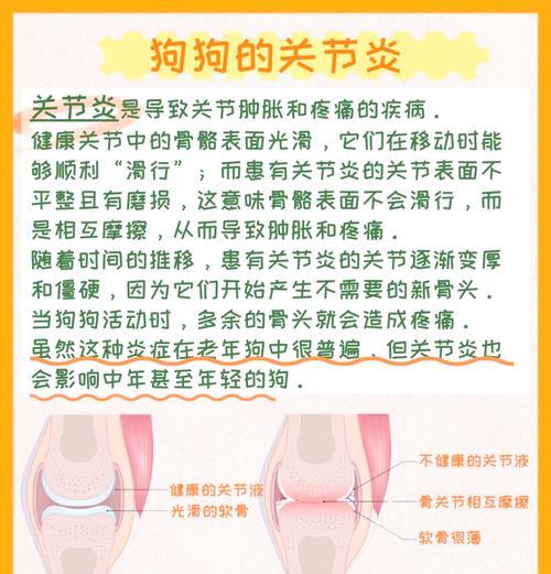 小狗关节炎的康复时间及治疗方法（了解关节炎康复所需的时间以及有效的治疗方法）