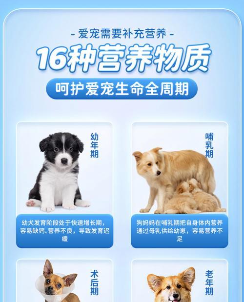 狗狗美毛粉的正确喂养方法（科学喂养美毛粉，让狗狗毛发更亮丽）