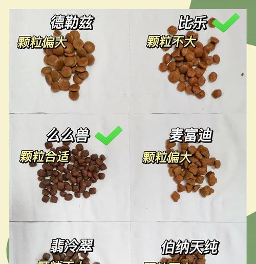 如何挑选一只健康的狗狗？（适合新手的关键步骤与建议）