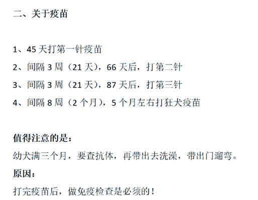 幼犬驱虫的重要性及最佳时间安排（保护幼犬免受寄生虫侵害，）