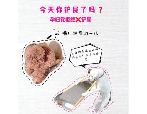 泰迪幼犬的怀孕周期与特点（探究泰迪幼犬的生殖发育和繁殖特性）
