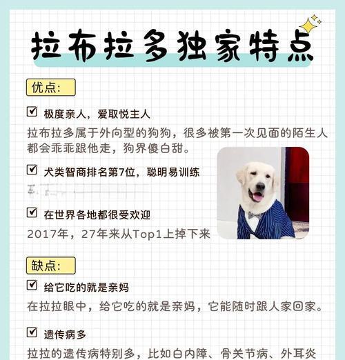 拉布拉多成年犬的驱虫频率及重要性（了解拉布拉多成年犬驱虫时间间隔，为宠物健康加分！）