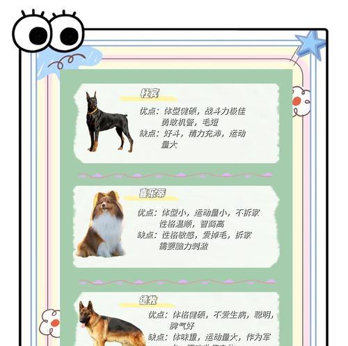拉布拉多幼犬的喂养小技巧（让你的拉布拉多幼犬健康成长的关键）
