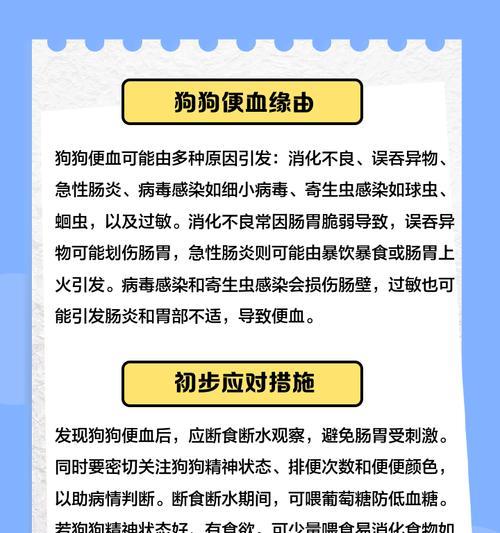 狗狗细小拉稀（探讨禁食对狗狗细小拉稀的影响与适用时间）