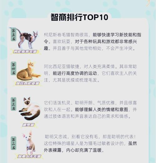 小猫的独立成长之路（探究小猫独立的时间和能力发展）