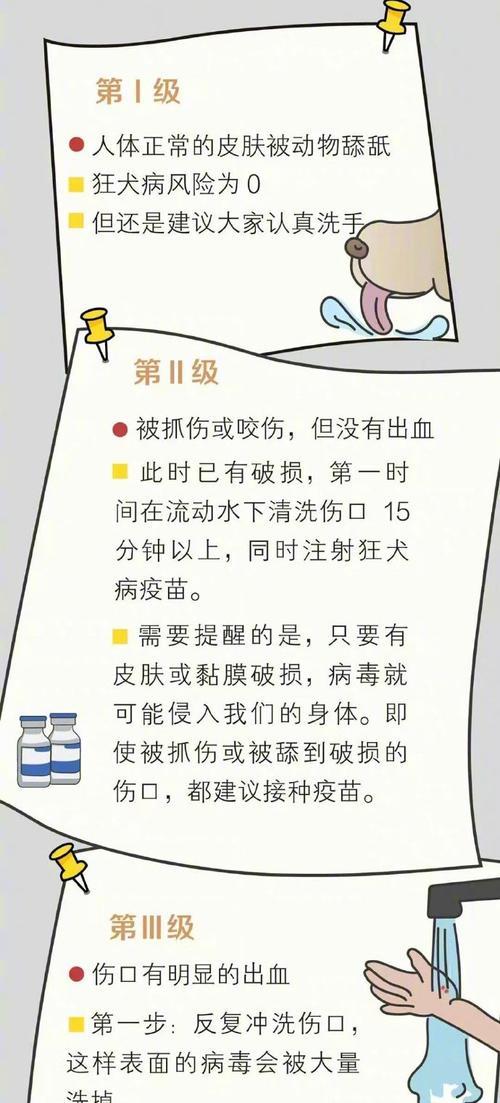 以犬用狂犬疫苗的常见症状（详解犬用狂犬疫苗的副作用及其预防措施）