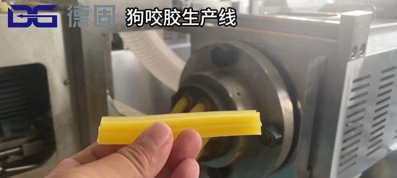 狗咬胶（了解狗咬胶的使用寿命，确保宠物健康与安全）