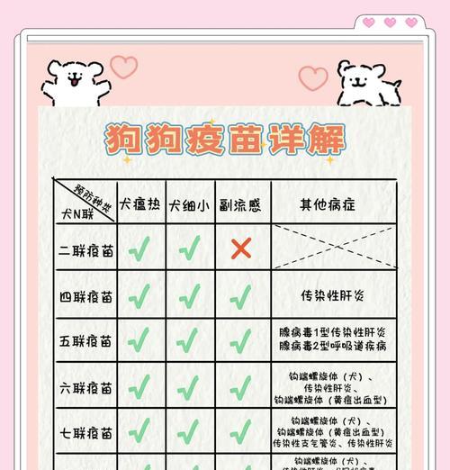 狗疫苗（探究狗疫苗的保护期限及其重要性）