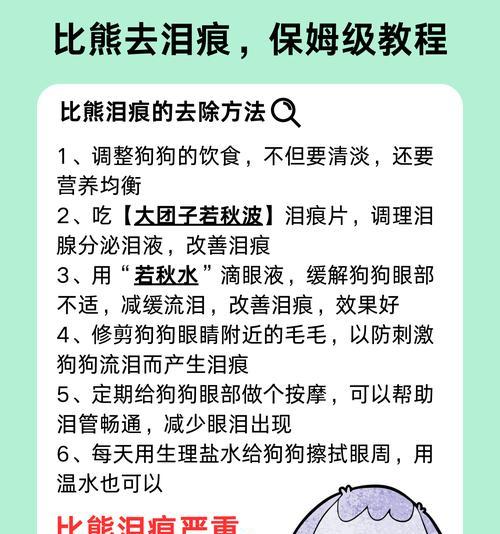 如何去除狗泪痕？（有效清除狗泪痕的方法及步骤）