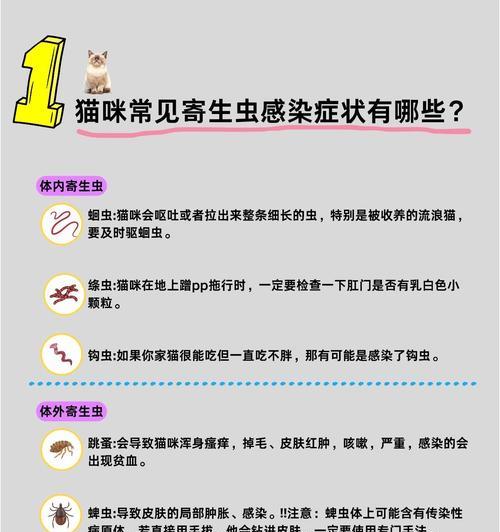 猫咪体外驱虫需要多长时间？（探讨猫咪体外驱虫的周期和效果）