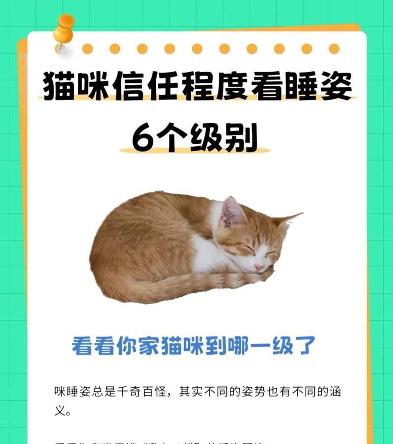 猫咪与主人的相识之旅（揭秘猫咪与主人建立深厚关系的时间及步骤）