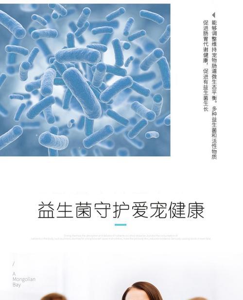 宠物助消化药的种类和作用（了解宠物助消化药的使用方法和注意事项）