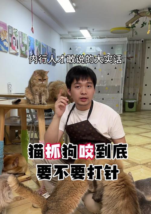 狗打针后的疼痛时长（了解狗疫苗接种后的不适程度及时采取措施）