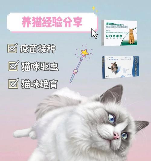 打完疫苗后多久进行绝育的最佳时机（疫苗接种后合适的绝育时间，为宠物健康着想）