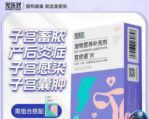 产后母犬的护理要点（关注营养、保持清洁，细致呵护）