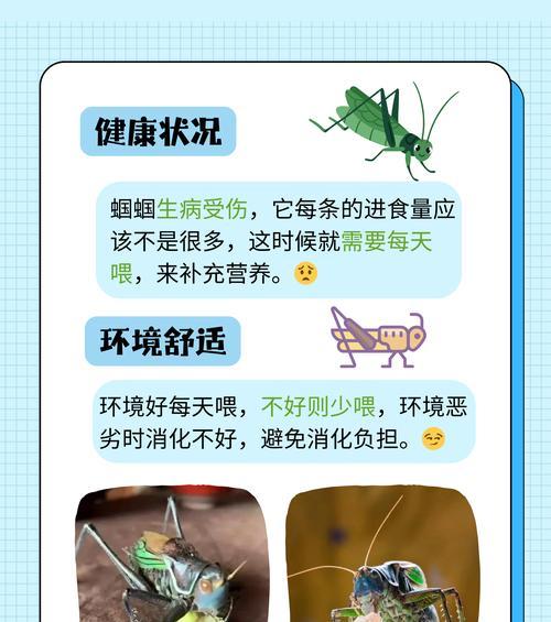 宠物蝈蝈的寿命之谜（揭秘宠物蝈蝈的寿命长短及关键因素）