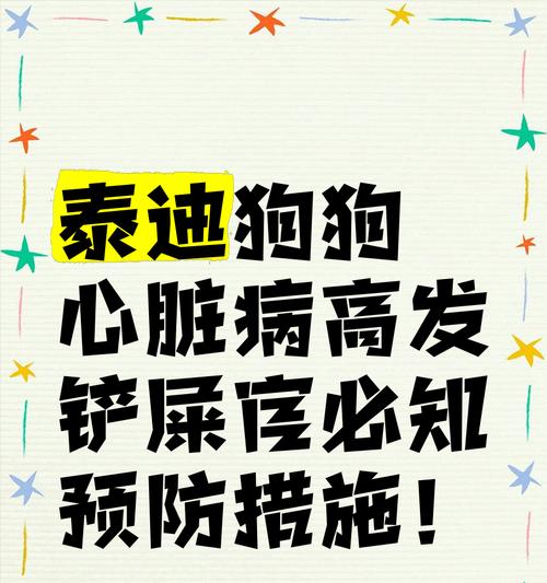 泰迪犬常见疾病大揭秘（养泰迪犬必须知道的六种常见疾病，提前预防才是王道！）