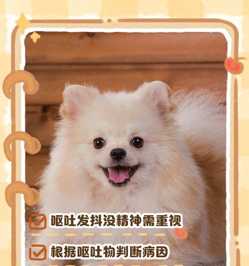 狗狗发抖的原因及主人需要重视的重要性（探究狗狗发抖的原因，了解主人应如何重视及处理）