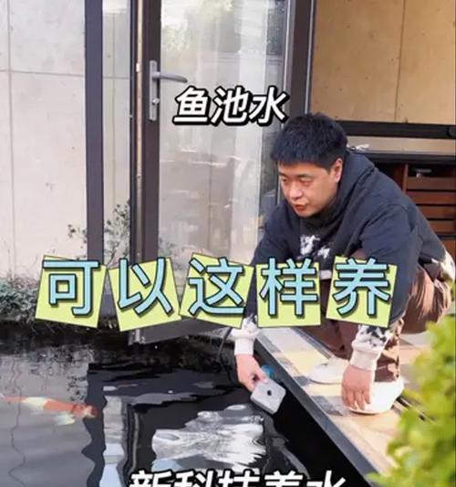 养锦鲤水的水质管理秘籍（锦鲤养殖的换水频率及注意事项）