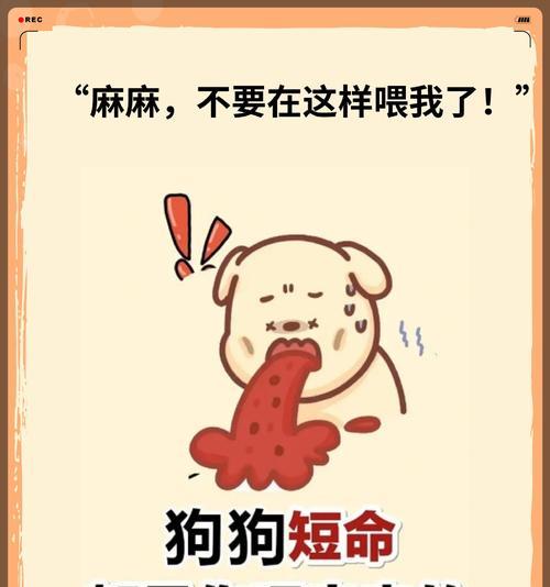 狗狗的贫血及合理补血方法（了解狗狗的贫血类型，让宠物更加健康）